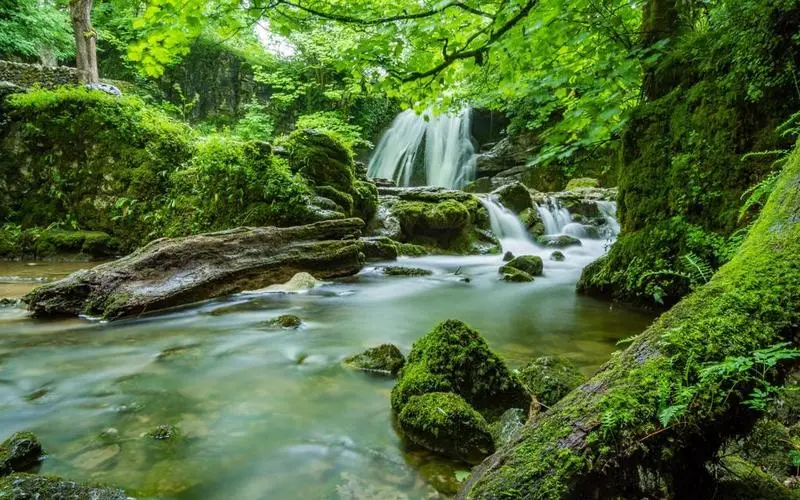 高性能绿色智能